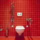 Beyond the Tank: Rethinking Septic System Alternatives