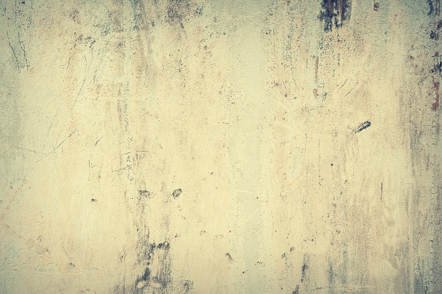 Long-Term Costs of Ignoring Foundation Damage
