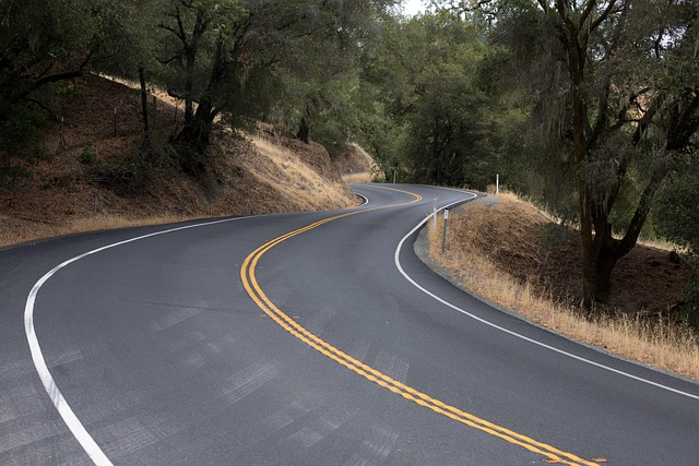 photo of a newly paved asphalt driveway with a slight curve and well-defined edges, showing good craftsmanship