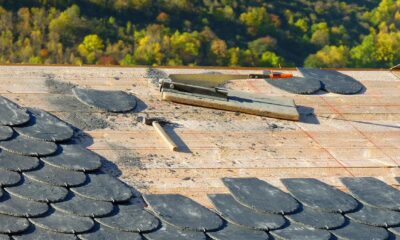 Roof Replacement Cost: An Expert’s Financial Breakdown