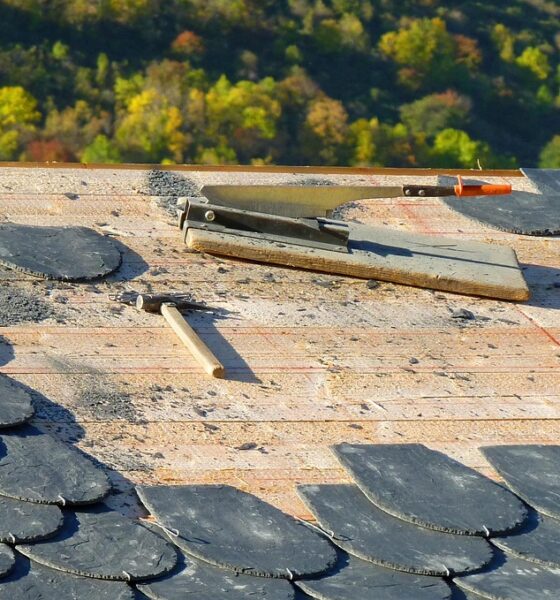 Roof Replacement Cost: An Expert’s Financial Breakdown