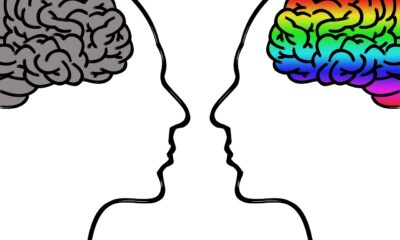 open mind vs closed mind