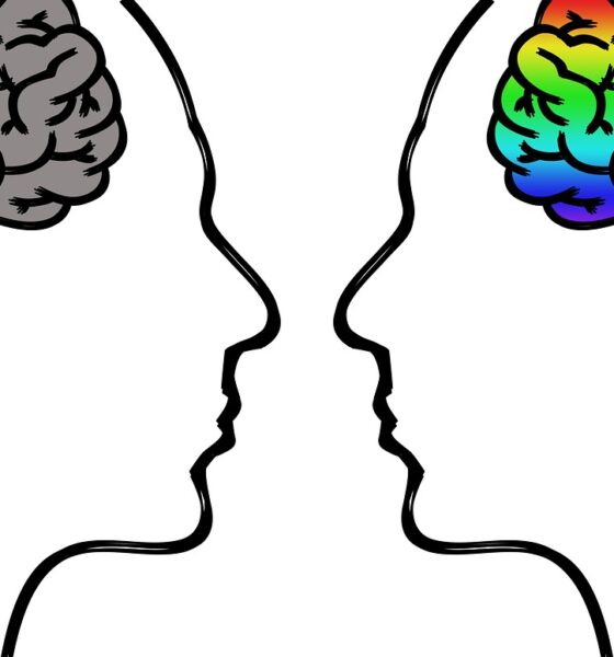 open mind vs closed mind